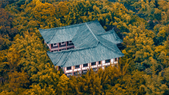 DJI Mavic 3 Standard — фото 7